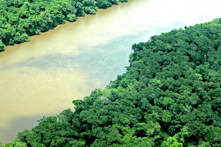Aerial view of a river with murky water flowing between dense green forests.