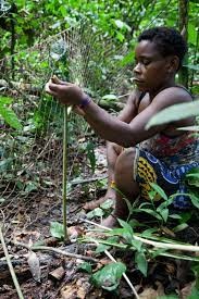 Here is a description of the image:A young person with dark hair and skin is crouched in a forest, possibly setting or tending to a net trap.