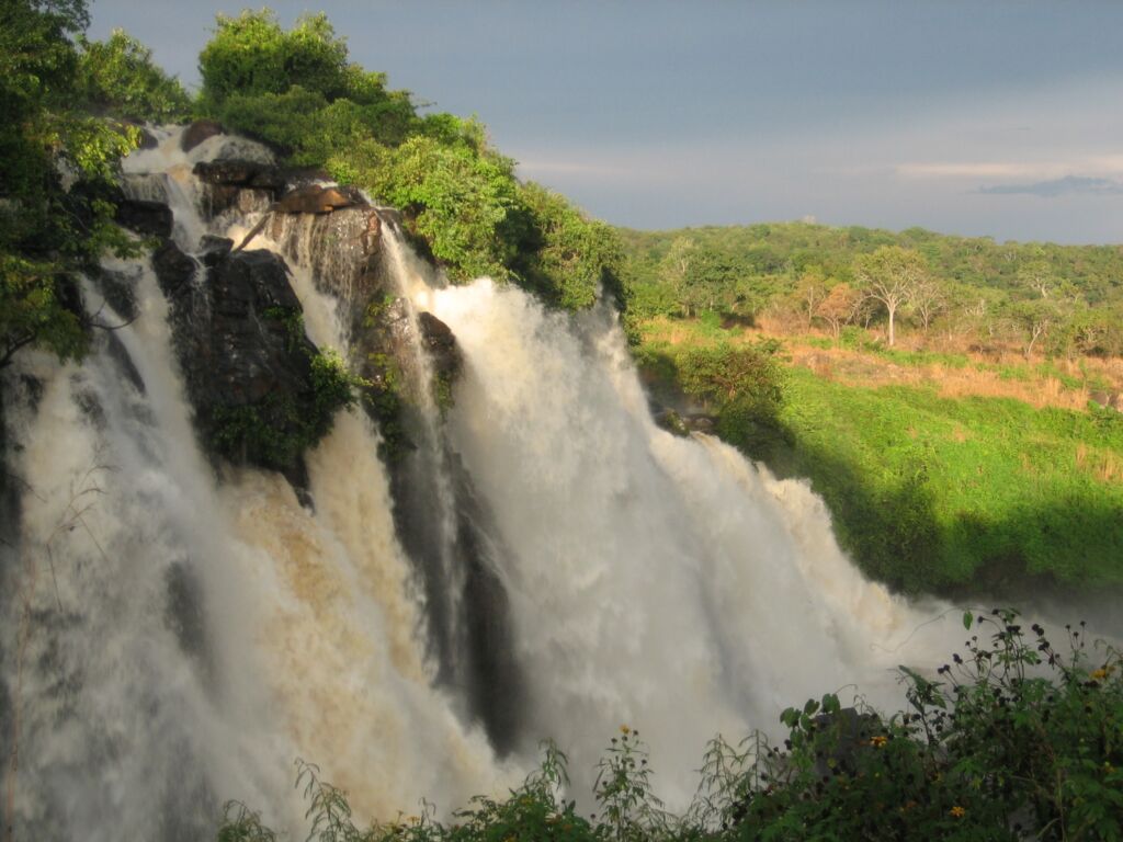 A beautiful waterfall cascades down a lush green cliff face, with a forest visible in the background under a cloudy sky.