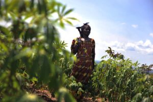 A woman wearing traditional African clothing stands in a field of cassava plants with a hoe over her shoulder, against a sky backdrop.
