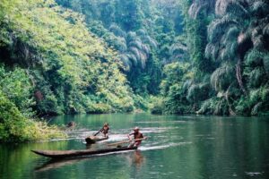 Two young boys paddle down a lush, green river in dug-out canoes.