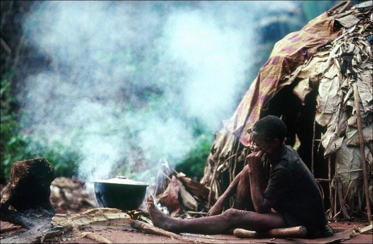 A person sits outside a leaf-covered hut near a cooking pot, smoke billowing around.