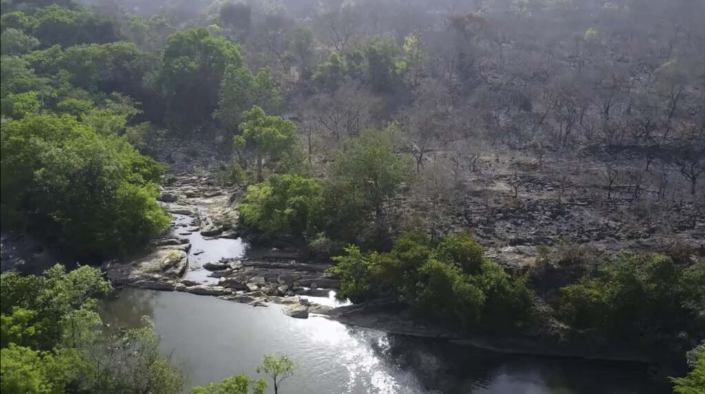 A waterway cuts through a lush, green forest, with one side showing signs of fire damage.