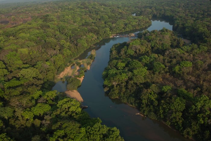 An aerial view shows a winding river flowing through a dense, lush green forest.
