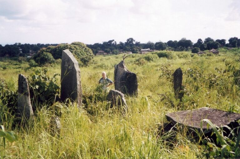 An archaeologist stands among ancient standing stones in a grassy field with distant trees and buildings under a cloudy sky.