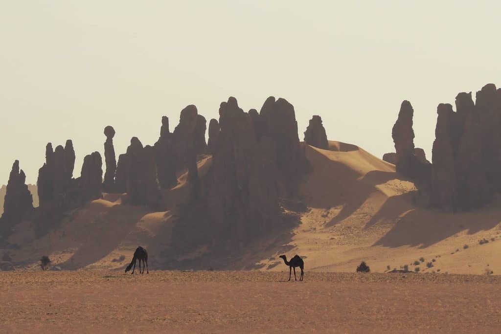 Two camels roam in a vast desert landscape with towering rock formations and rolling sand dunes under a hazy sky.
