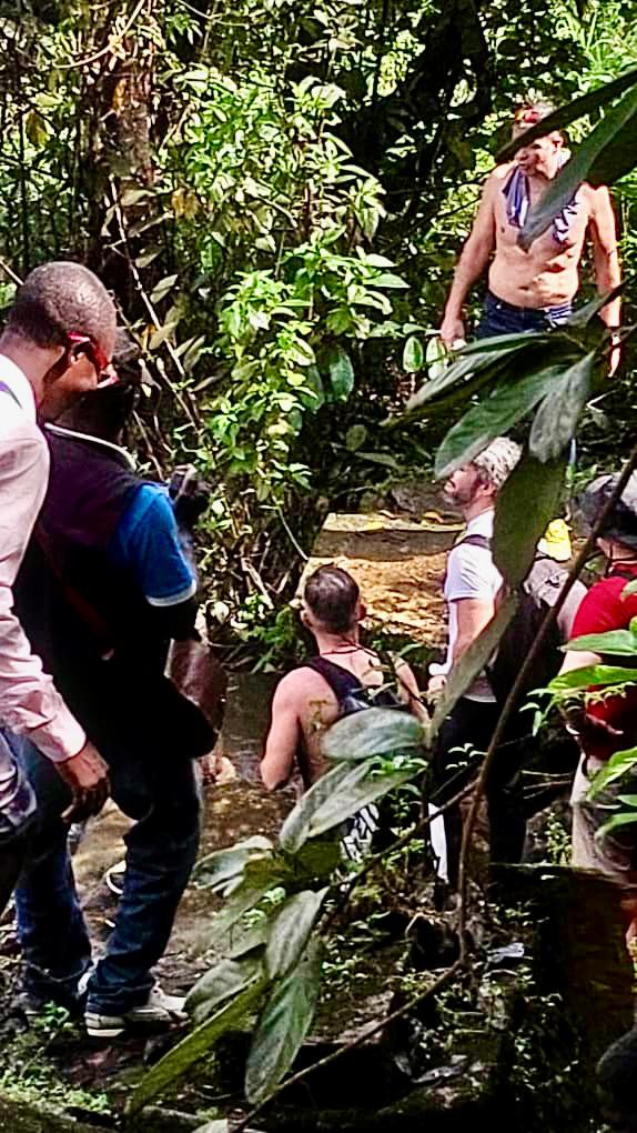 A group of people are hiking through a lush, green jungle, some shirtless and wearing backpacks, following a path in the wilderness.