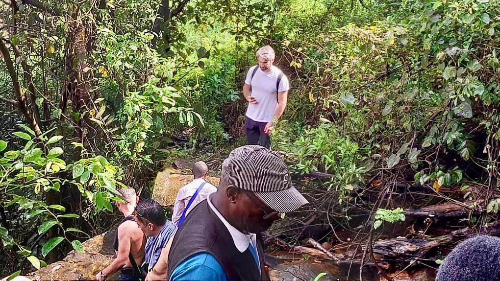 A group of people are walking through a lush, green forest, with one man standing out in a white shirt, looking at his phone.