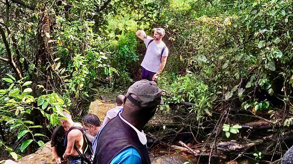 A group of hikers makes their way through lush vegetation, with one member waving from higher ground.