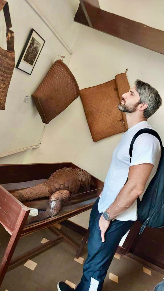 A man with graying hair and a beard looks at a display case containing a pangolin taxidermy and woven baskets are displayed on the wall behind him.